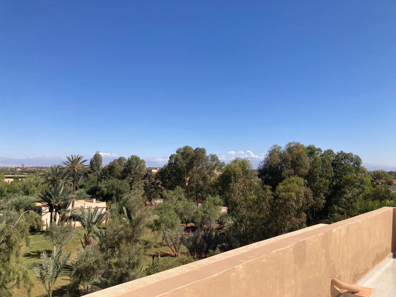 Family Palms Luxe Villa Marrakech With Private Pool Marakeş Oda fotoğraf